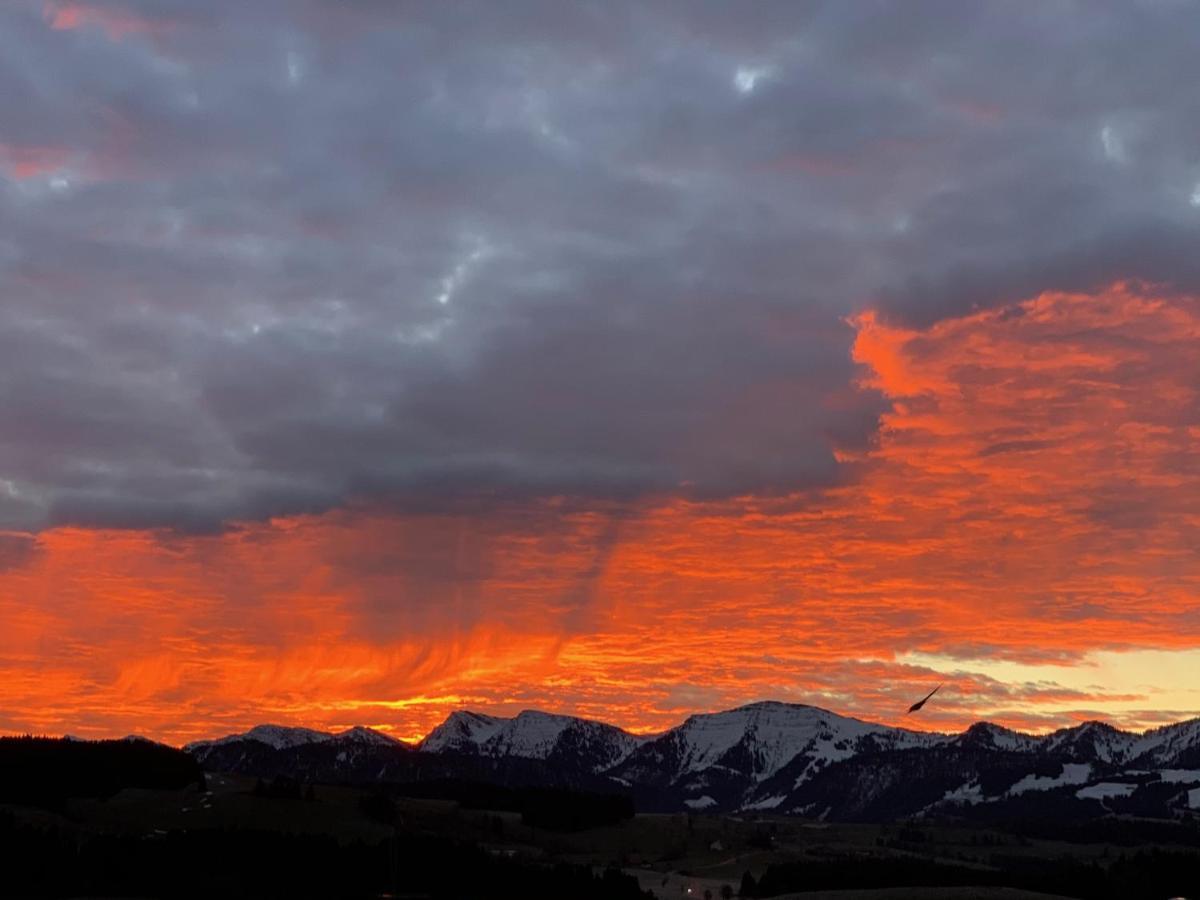 Panoramaapart - Alpzeit Im Westallgaeu オーバーロイテ エクステリア 写真